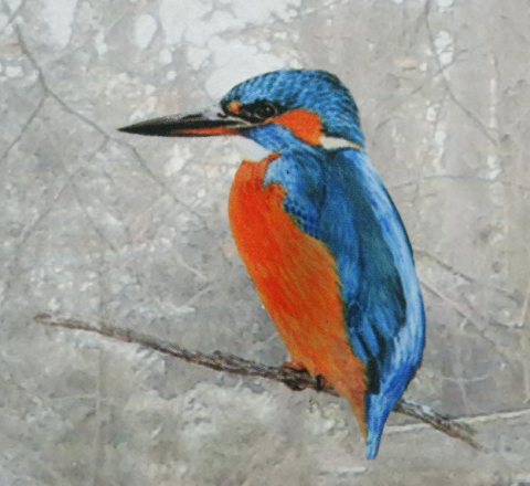 painting of Kingfisher by Eoin Mac Lochlainn